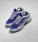 Nike Air Max TN "Purple Dragon"